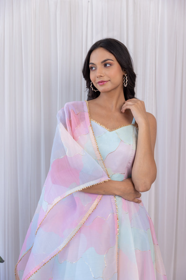 Arti Chauhan Pastel Dream Organza Anarkali