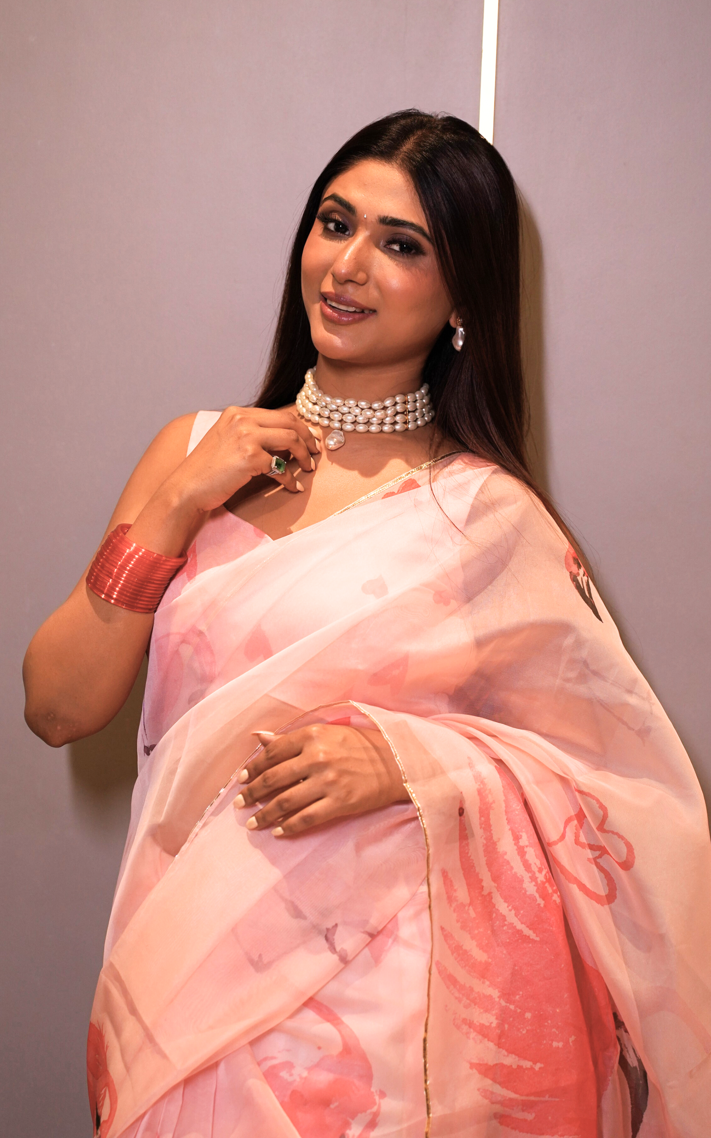 Flamingo Organza Saree