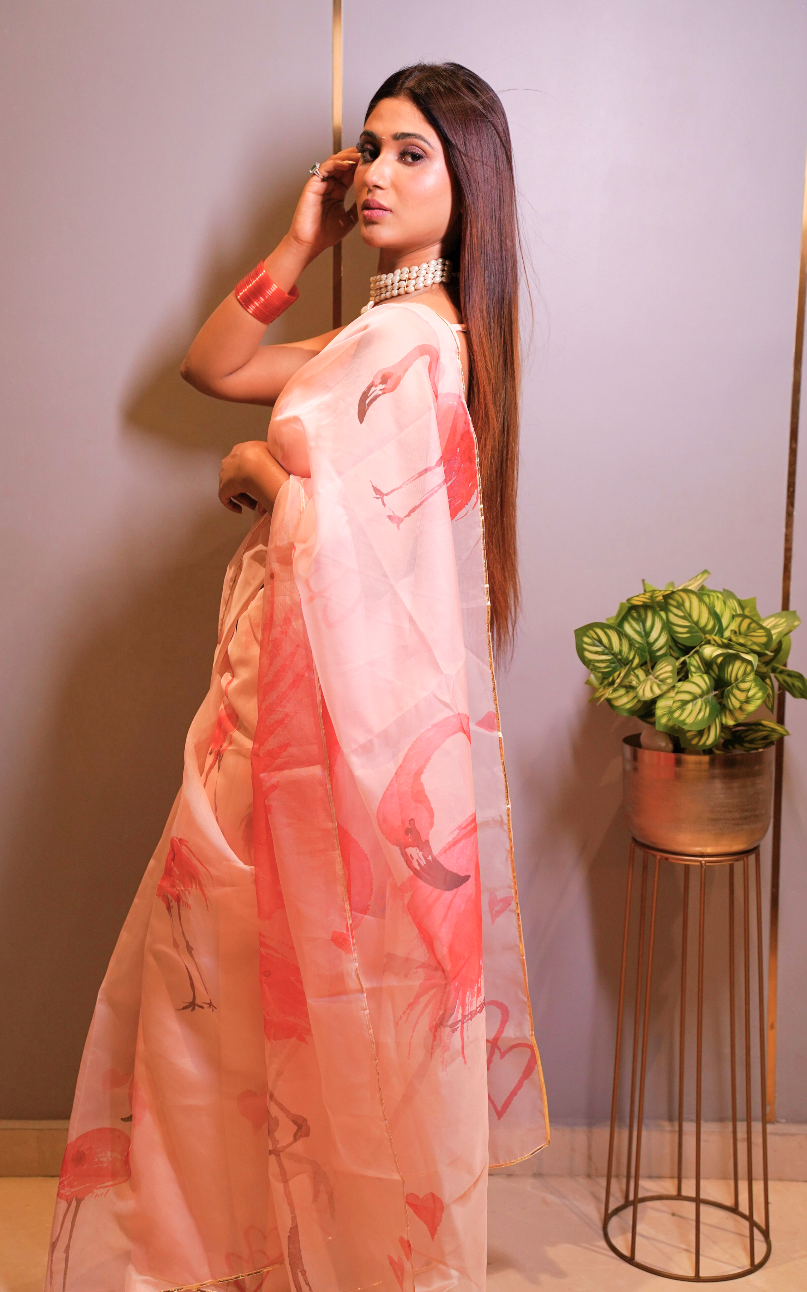 Flamingo Organza Saree