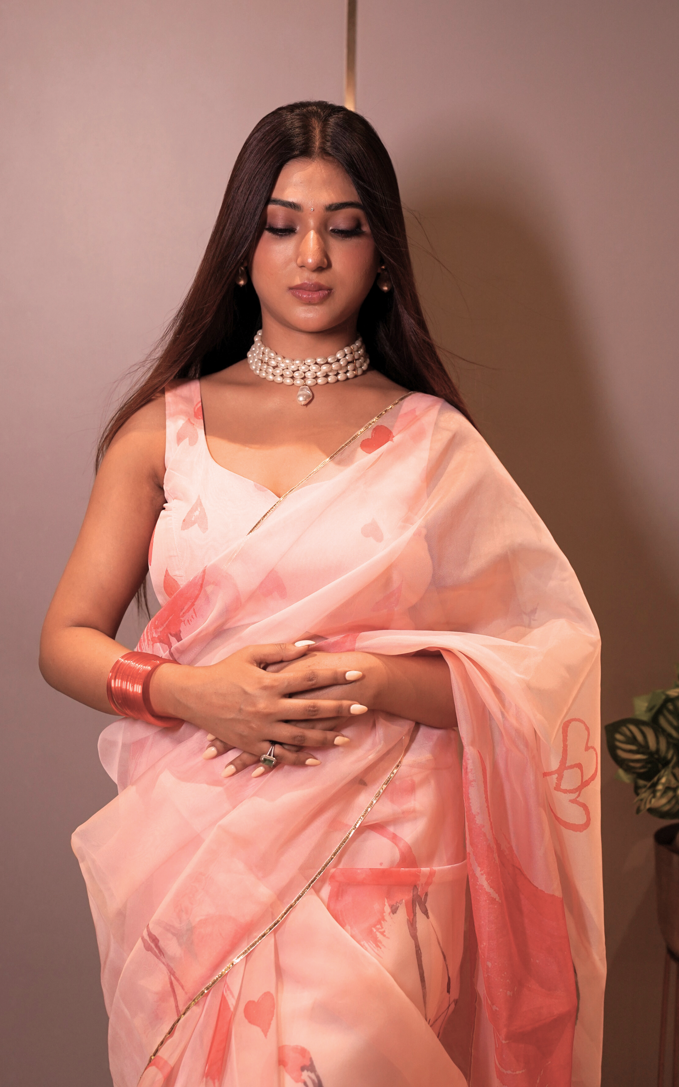 Flamingo Organza Saree