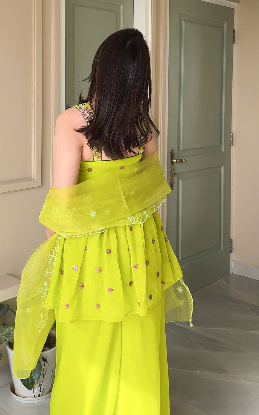 Parrot Green Embroidered Sharara Set