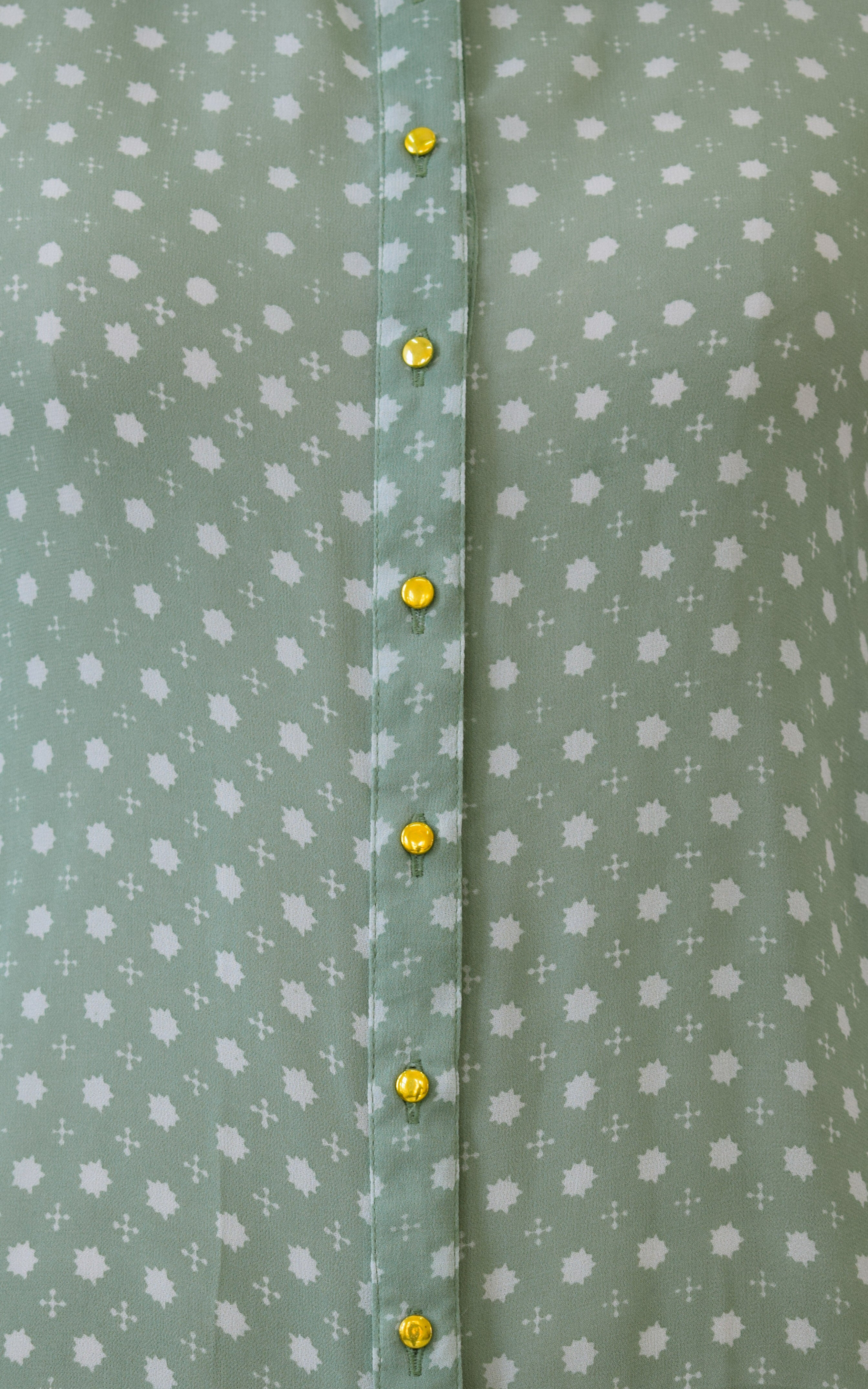 Sage Green Printed Georgette Shirt