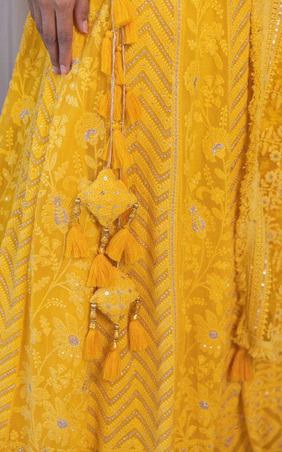 Yellow Chikankari Lehenga