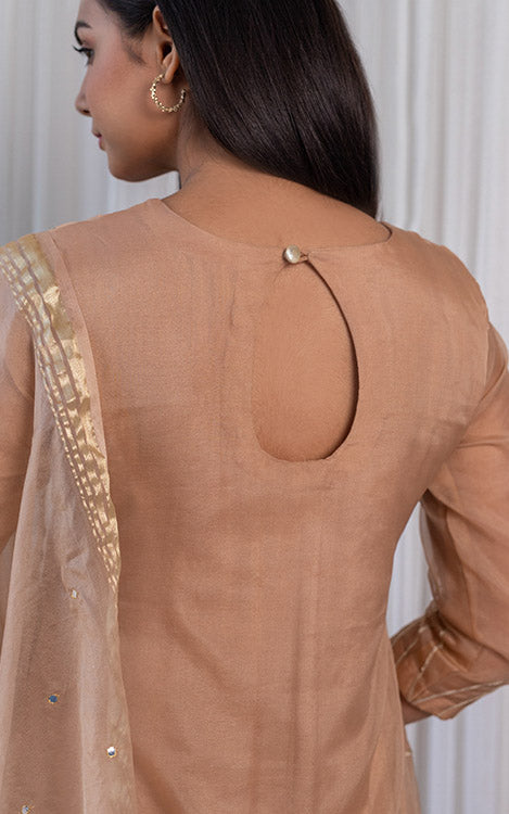 Fenil Umrigar Beige Organza Mirrorwork Kurta Set