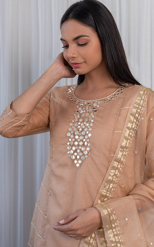 Fenil Umrigar Beige Organza Mirrorwork Kurta Set