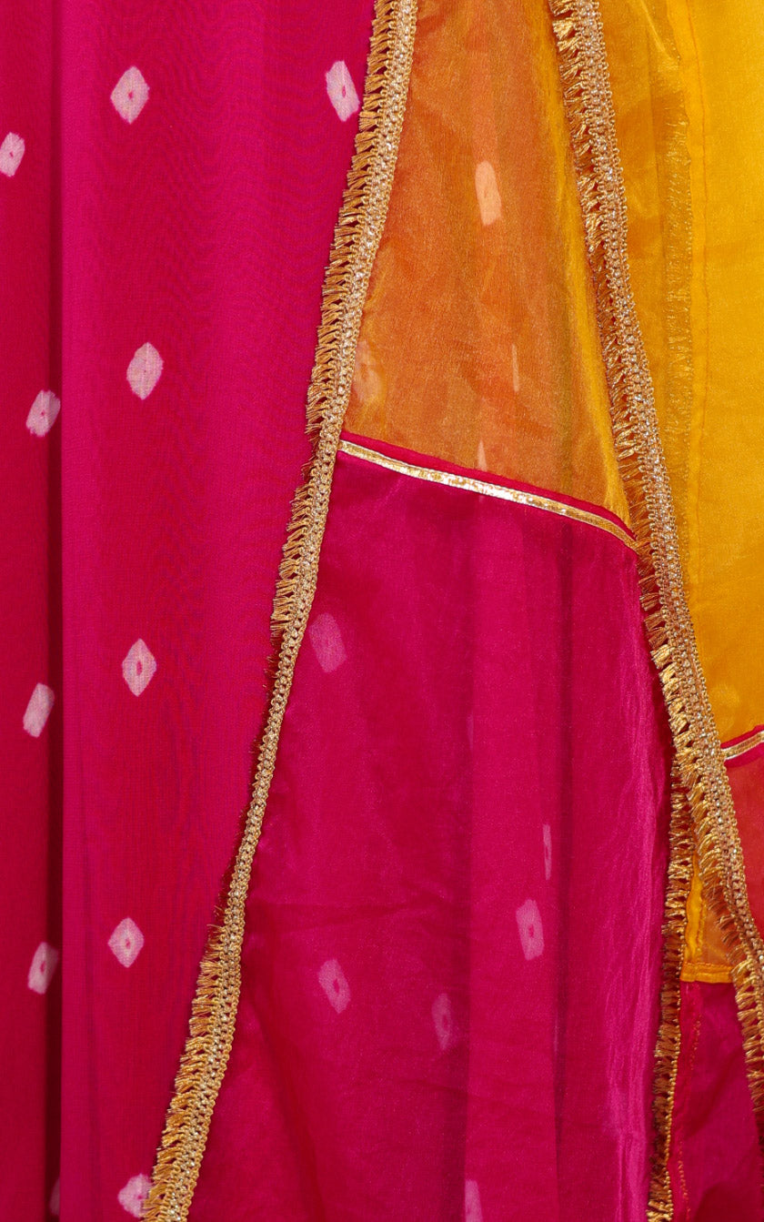 Swati Rathi Pink Bandhej Anarkali With Multicolored Organza Dupatta