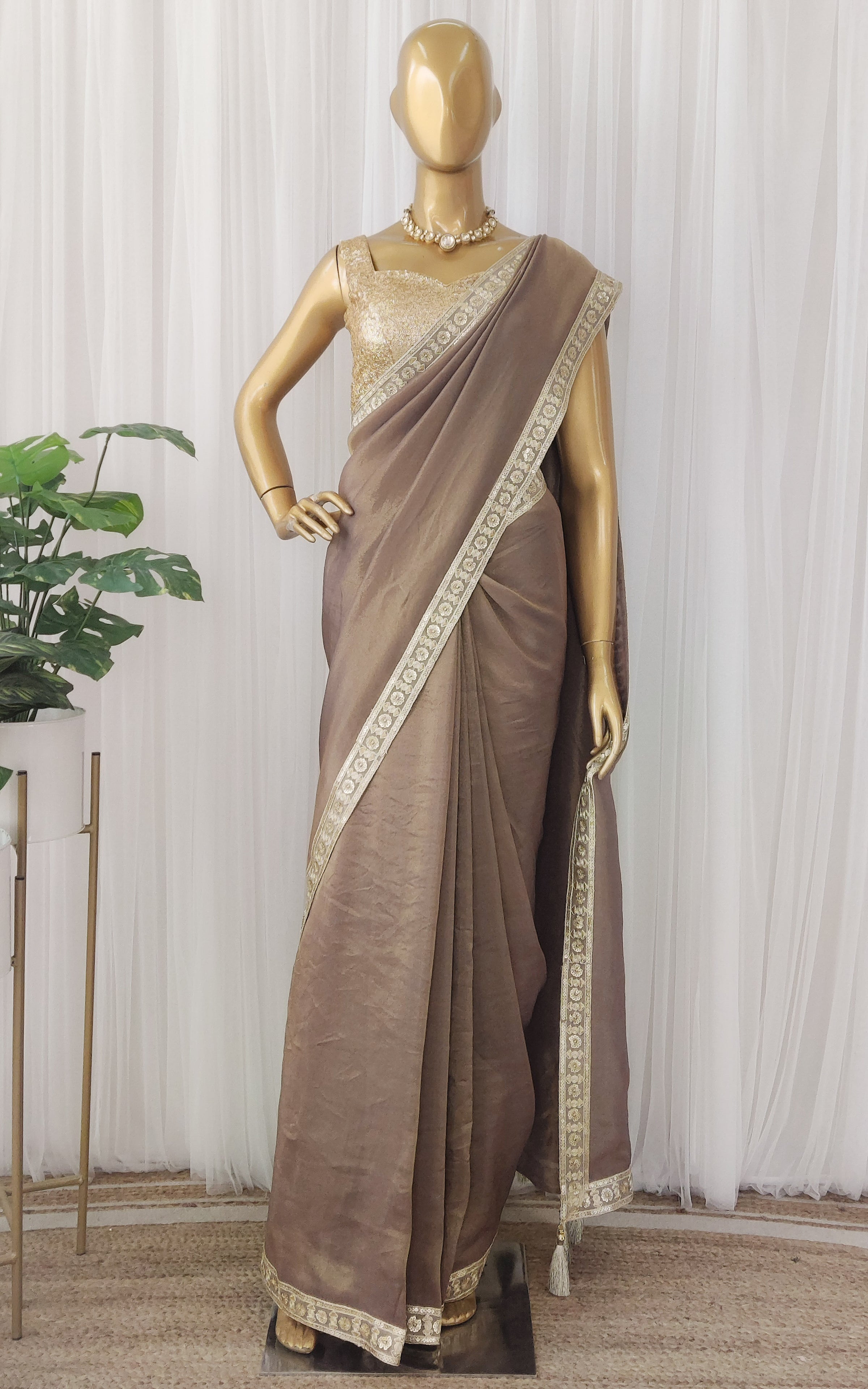 Gray Tissue Saree with Red Brocde Blouse