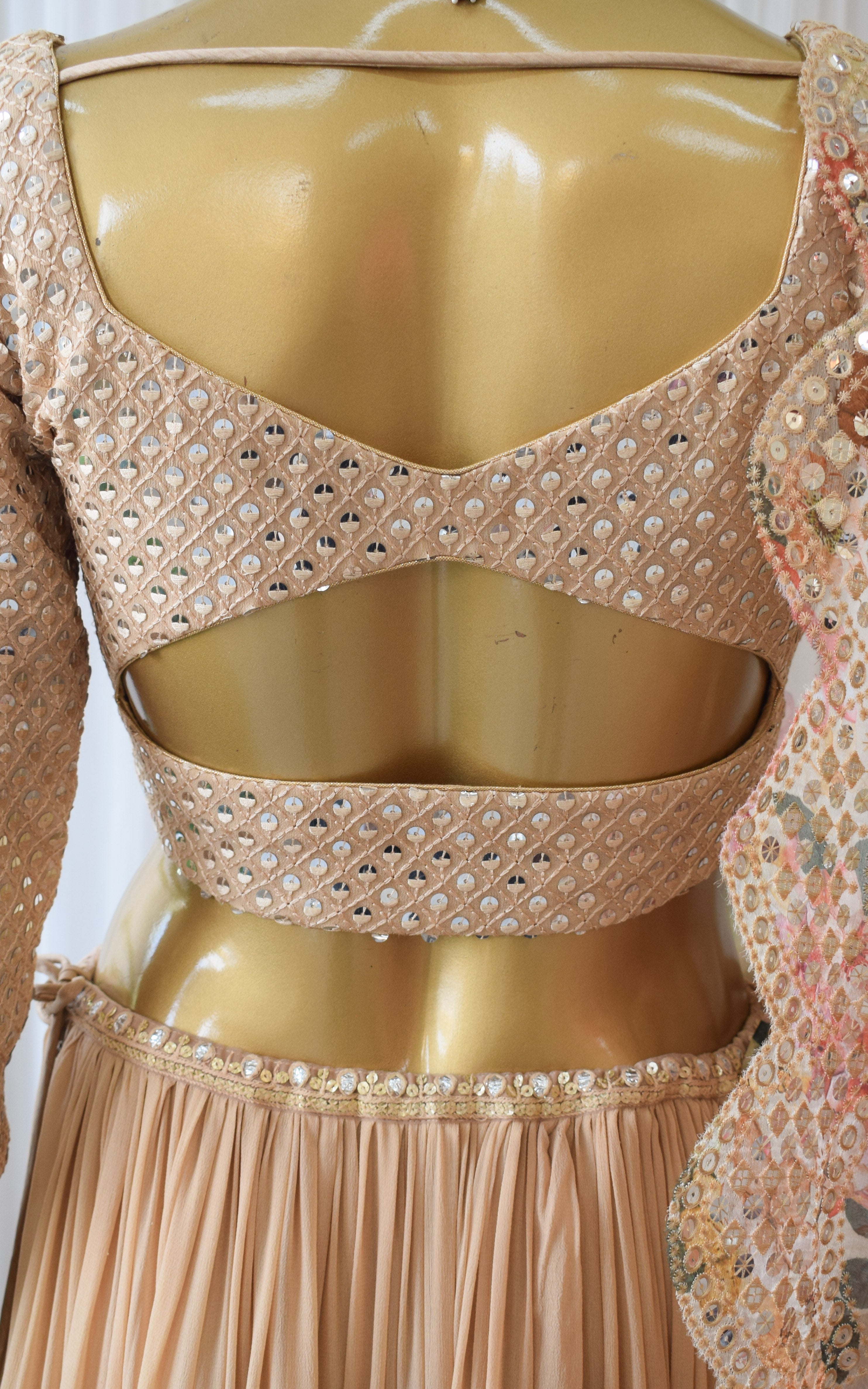 Swati Rathi Champagne Lehenga With Mirrorwork Organza Dupatta